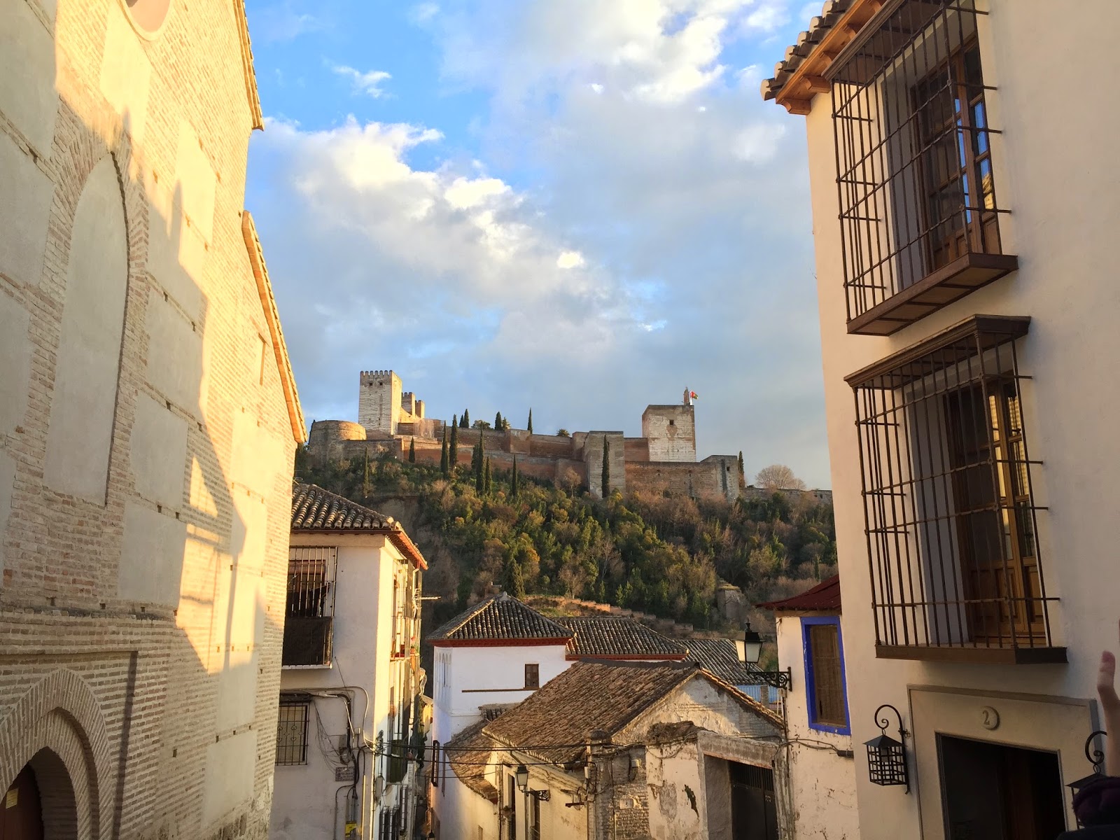 guided tour alhambra granada